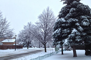 Необходима новая программа для временных рабочих